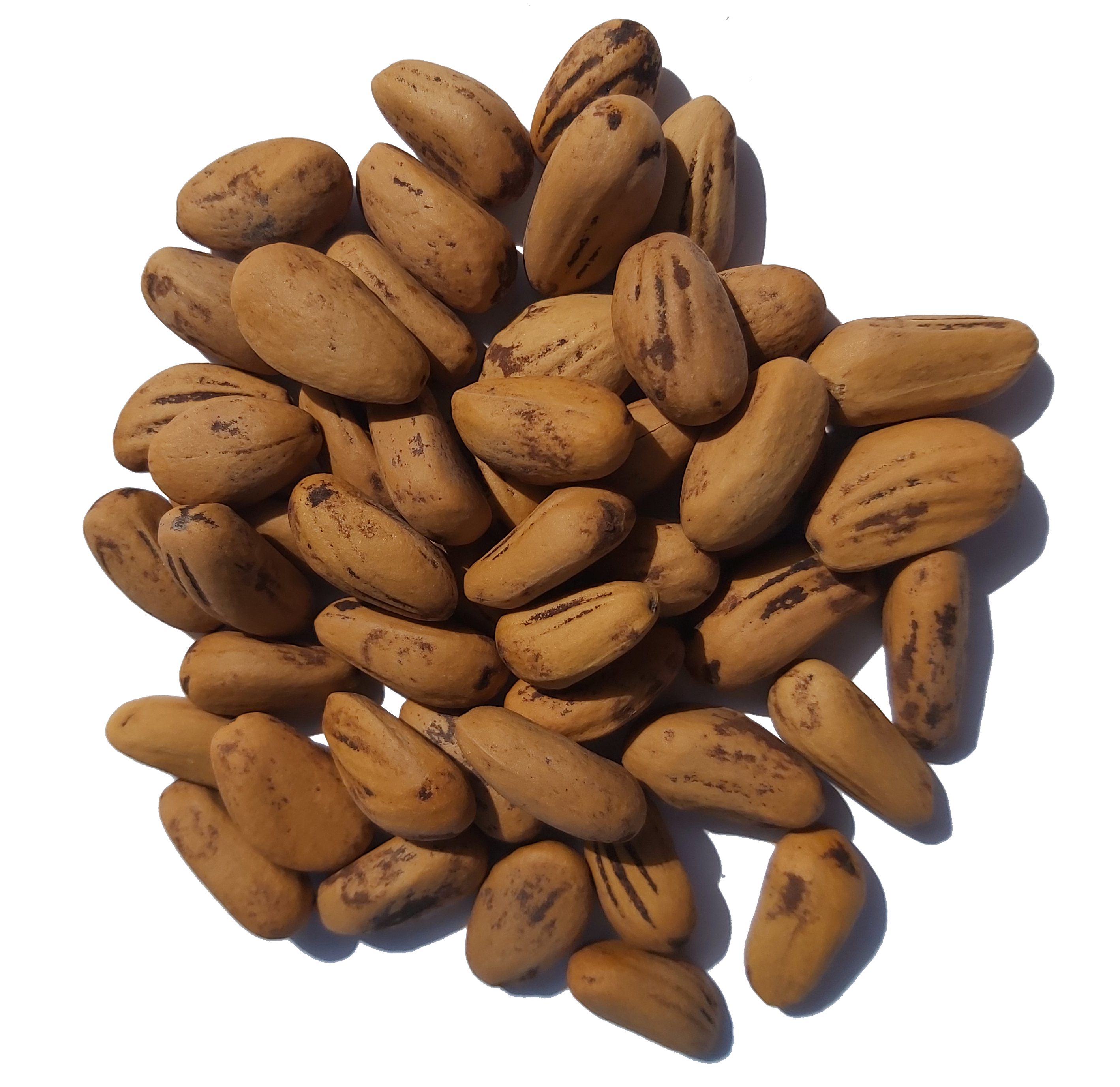 Raw Pine Nuts In Shell 900g