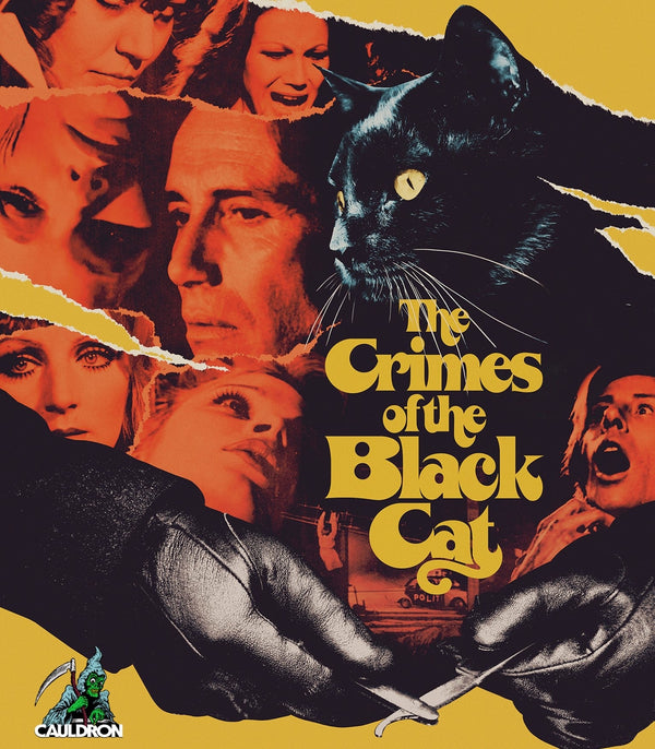 Black Cat (TV Series 2005–2006) - IMDb