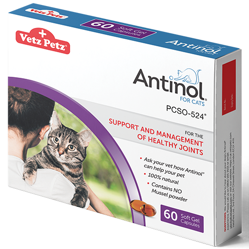 antinol for cats ingredients