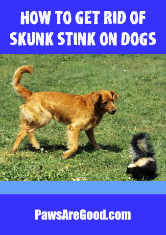 how to get rid of skunk stink on dogs