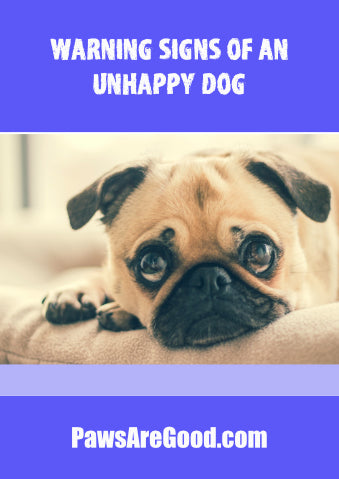 Warning signs of an unhappy dog