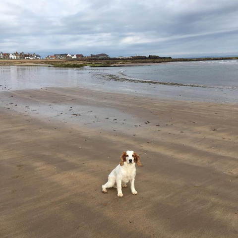 Enjoying the beach