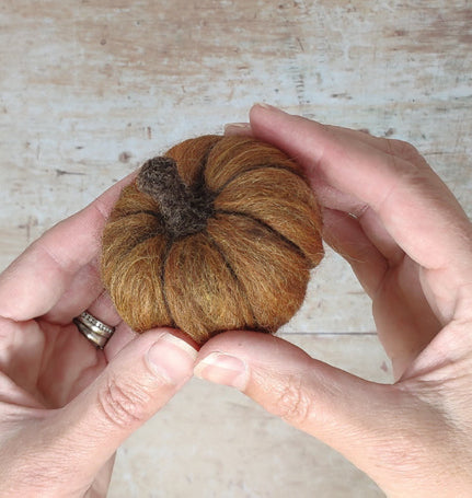 How to make your own needle felt pumpkins! – The Crafty Kit Company
