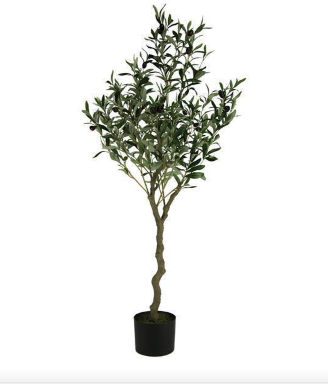Olive Tree Insert, 48"H