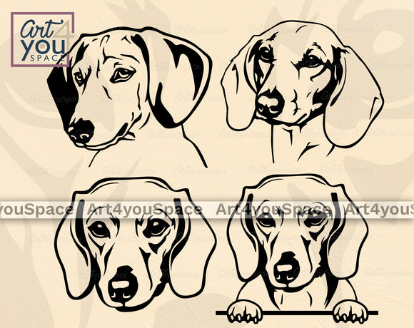 Dachshund SVG PNG DXF, Doxie, Cricut, Cute Pet Face Clipart, Png Head