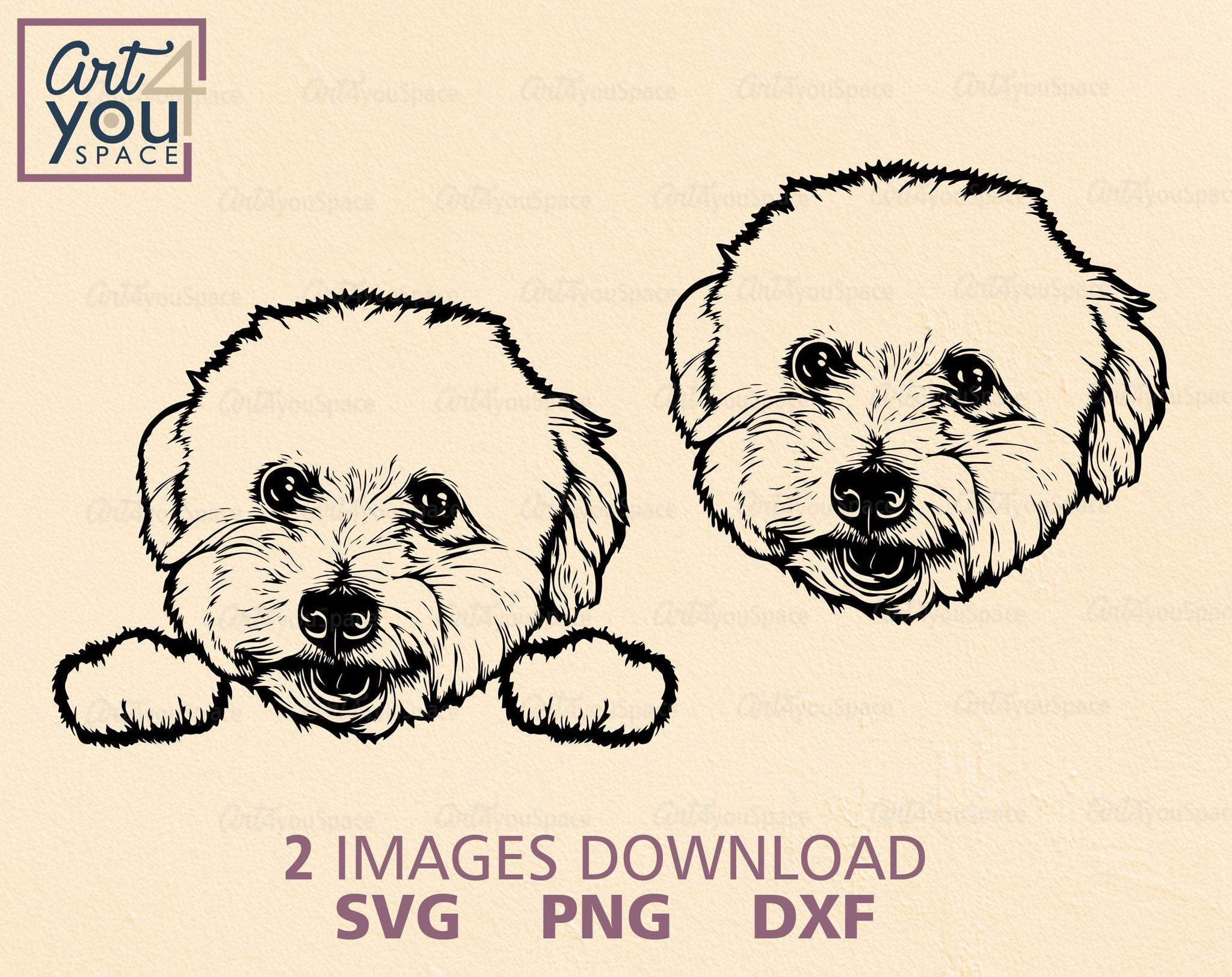 Cute Bichon Frise SVG PNG DXF, Vector, Clipart, Download Printable Art