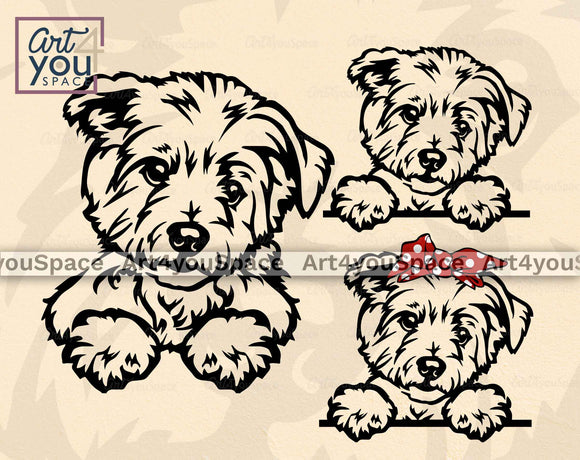 Maltese SVG File Cricut, Cute Peeking Puppy With Bandana Vector Clipart