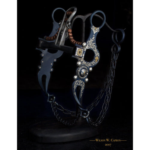 $20,000 and Over~Bits - Capron Bits & Spurs