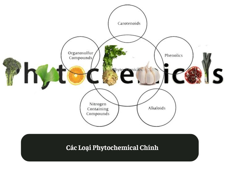 Các Loại Phytochemical Chính
