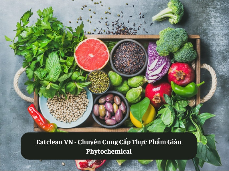 Eatclean VN - Chuyên Cung Cấp Thực Phẩm Giàu Phytochemical