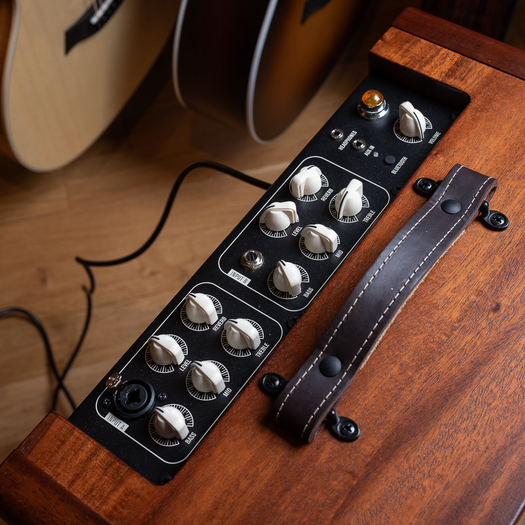 1.19.24 - Taylor Circa74 Guitar Amplifier-4-2.jpg__PID:60145260-7cb2-4894-a344-0d4ee8526582