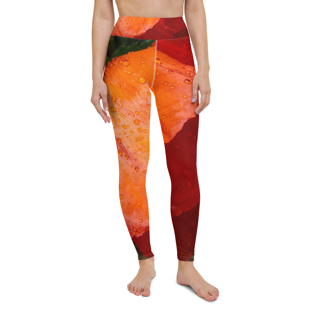 Yoga Pants & Leggings - Women Yoga Leggings Latest Price