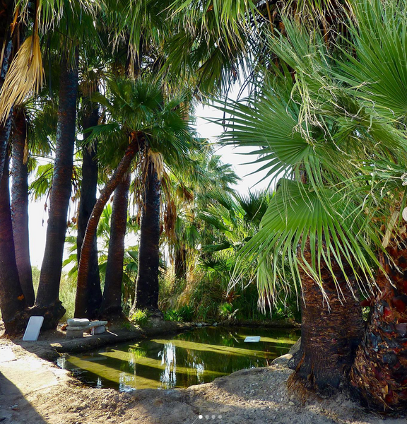 Five Palms Hot Spring - Southern California Hot Spring Roundup