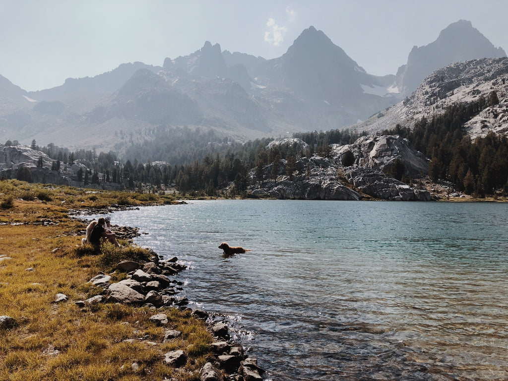 Mammoth Lakes CA: Field Notes