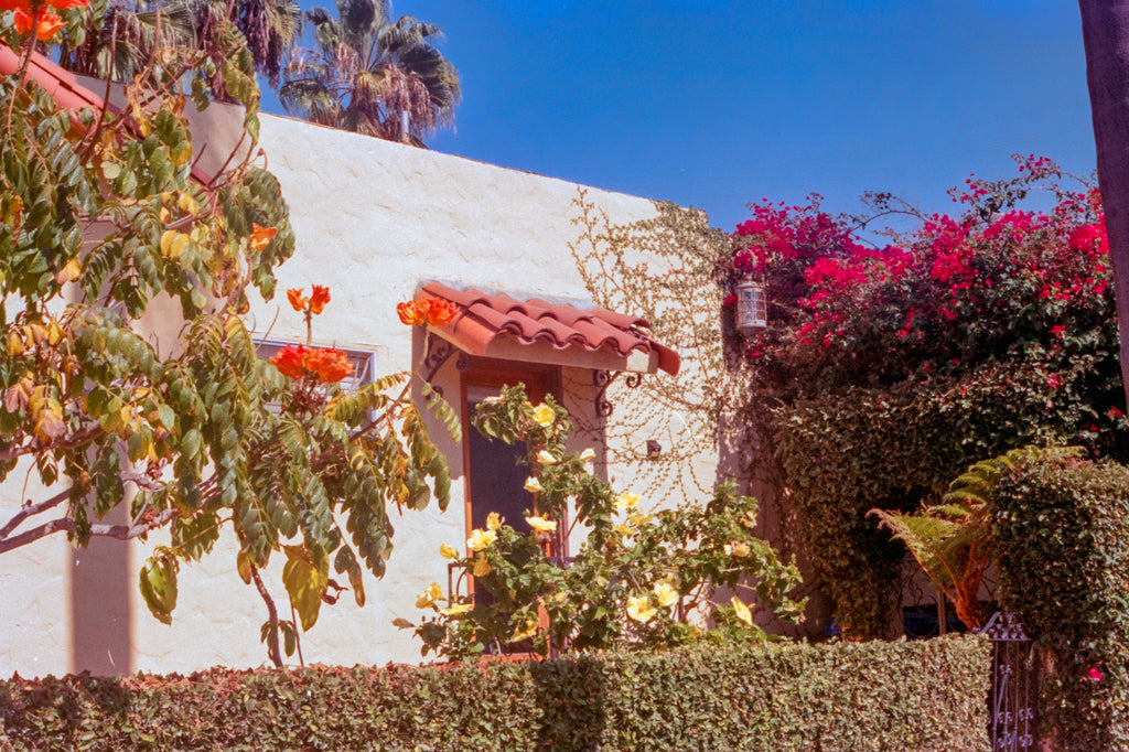 Field Notes from San Diego - Bougainvillea and Stucco