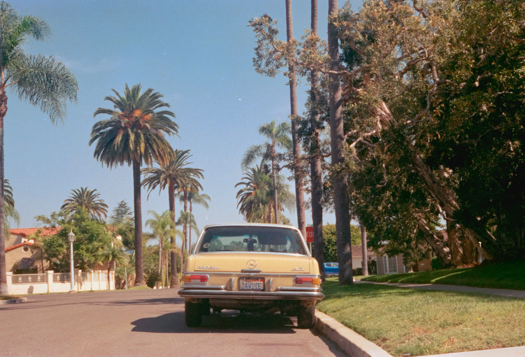 Field Notes from San Diego - Vintage Yellow Car & Palm Trees