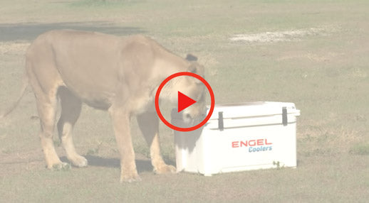 Engel Lion Proof Cooler