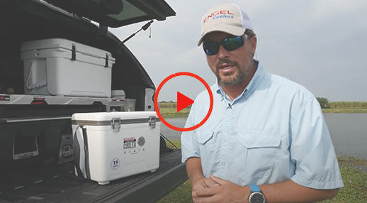 ENGEL LIVE BAIT COOLER (How long does bait REALLY last?) multiple species  test 