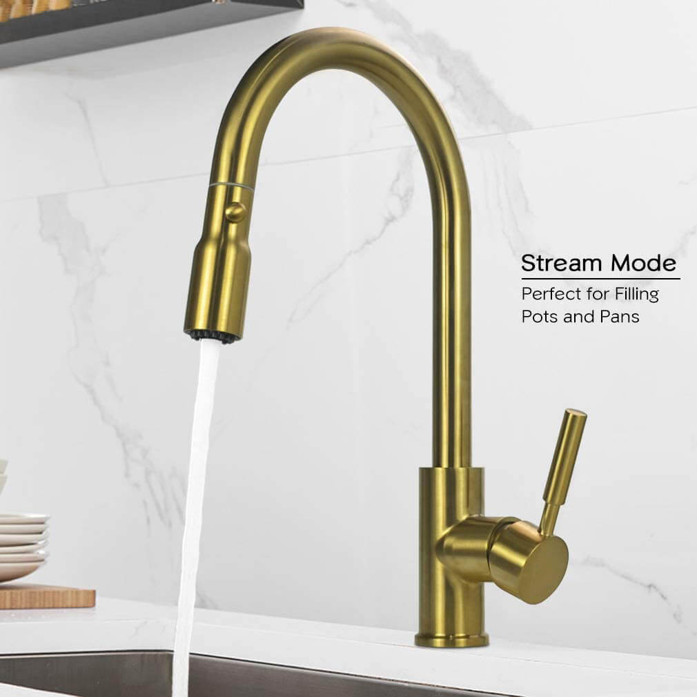 Single Handle Kitchen Faucet With Pull Down Sprayer Phasat