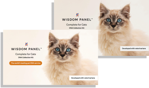 Wisdom Panel Essential test ADN pour Chien