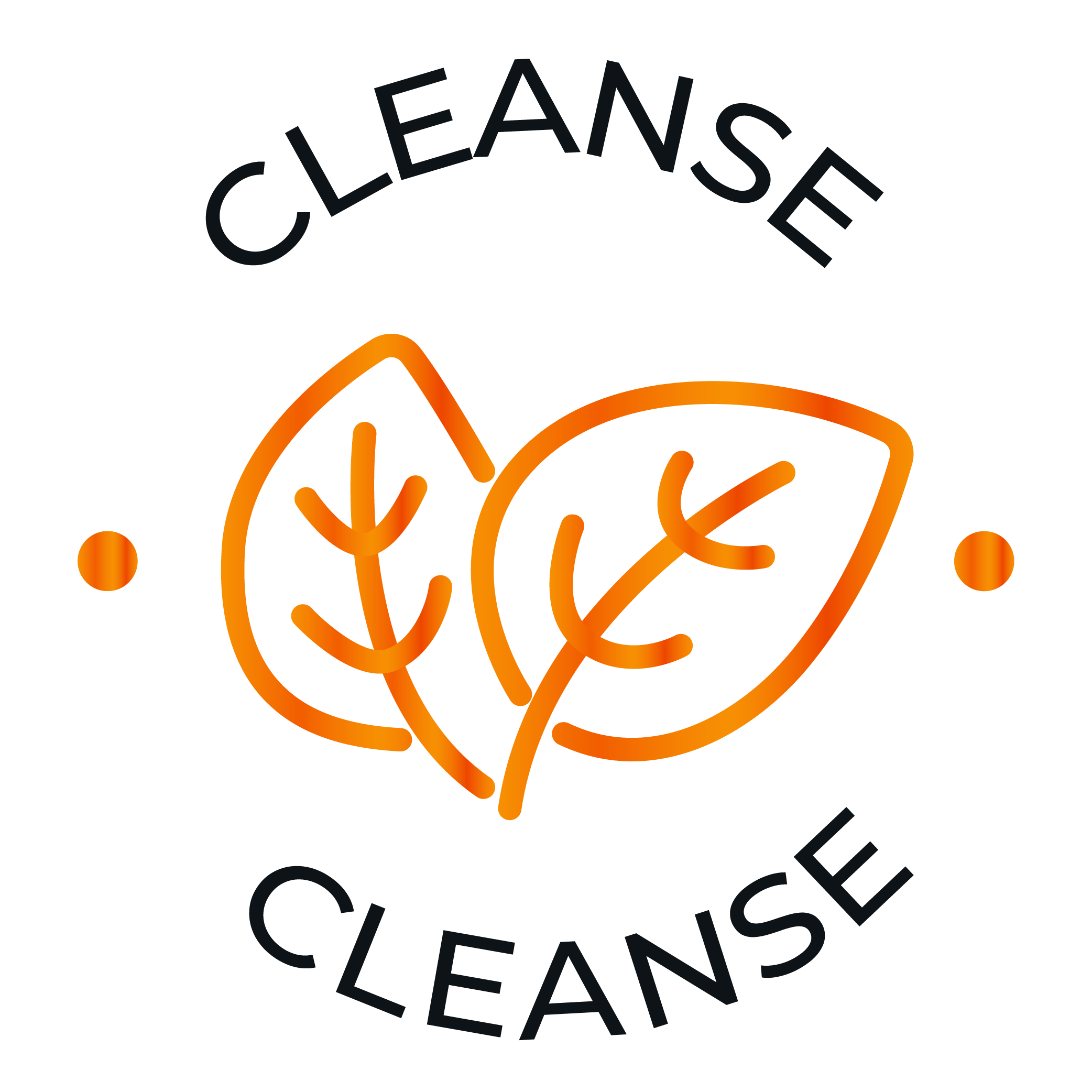 cleanse icon