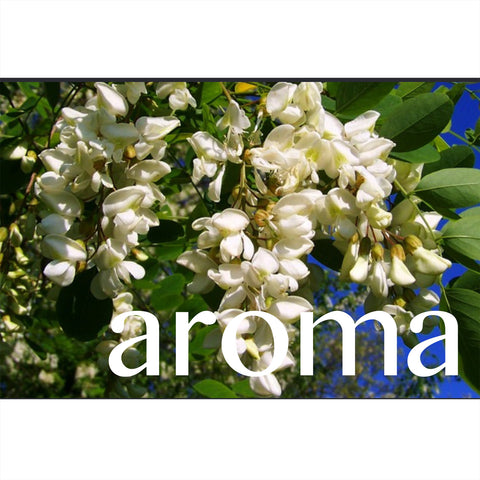 acacia aroma TasterPlace