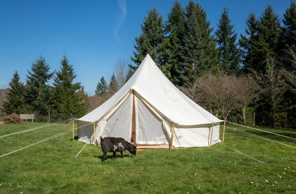 Forêt+école+tente