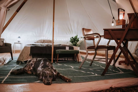 A decorated tent with a large dog laying on the rug