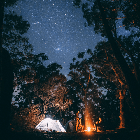 noche estrellada sobre camping y tienda de campaña