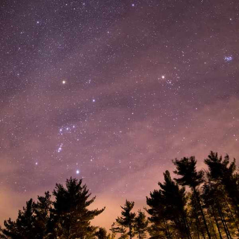 camping à observer les étoiles sous les arbres