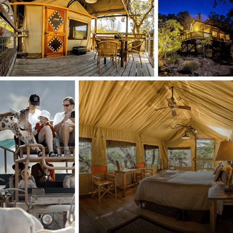 Safari West glamping in Northern California