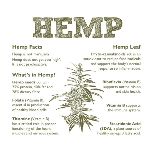 Hemp Infographic