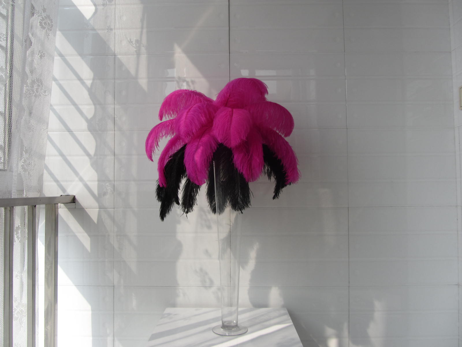 pink and black ostrich feathers