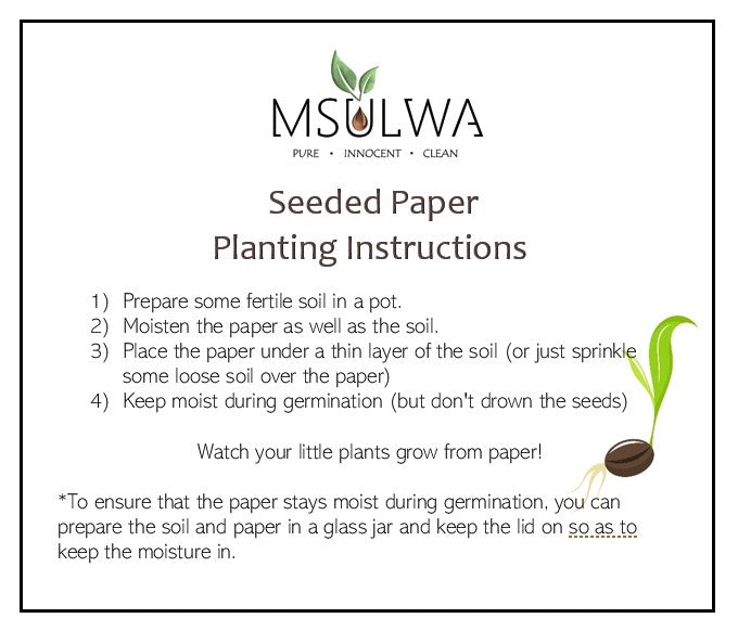 Msulwa Seeded plantabel pencils planting instructions
