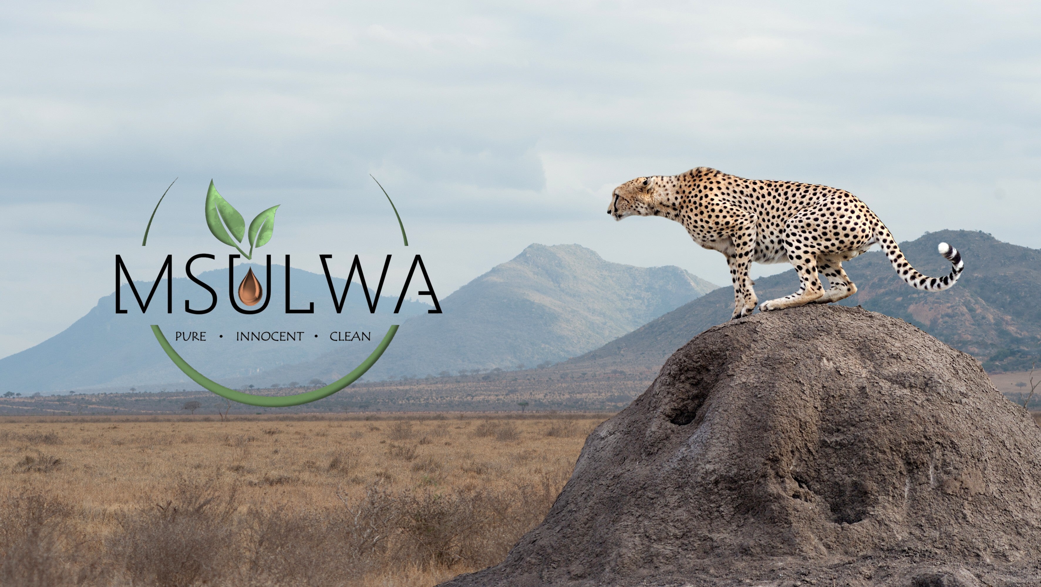 Msulwa eco-friendly products shop online at www.msulwa.co.za and www.msulwa.com