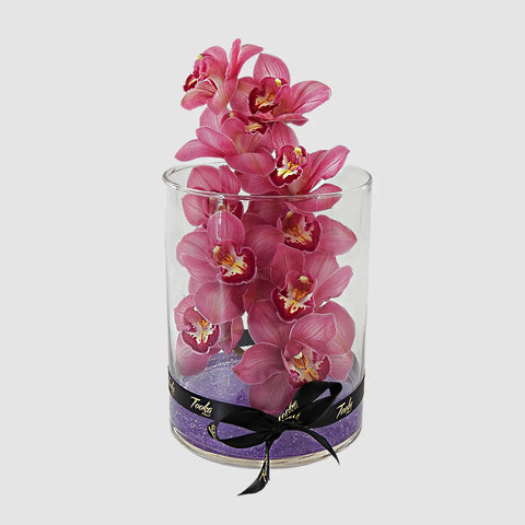 Order Burgundy Cymbidium Orchid for Mother's Day 