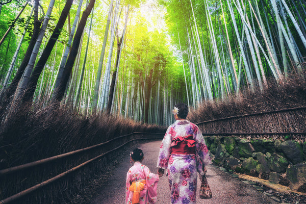 kyoto japan bamboo forest