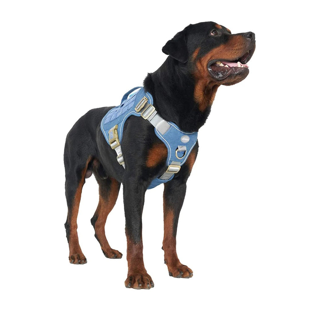 8 Patches in 1 Set, Personalized Patches and Reflective for Dog Harness  Vest – Abrazo Sports