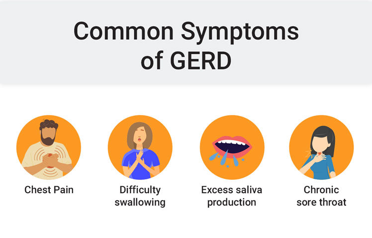 gerd common symptoms infographic
