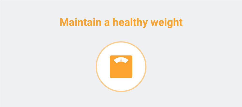 maintain a healthy weight icon
