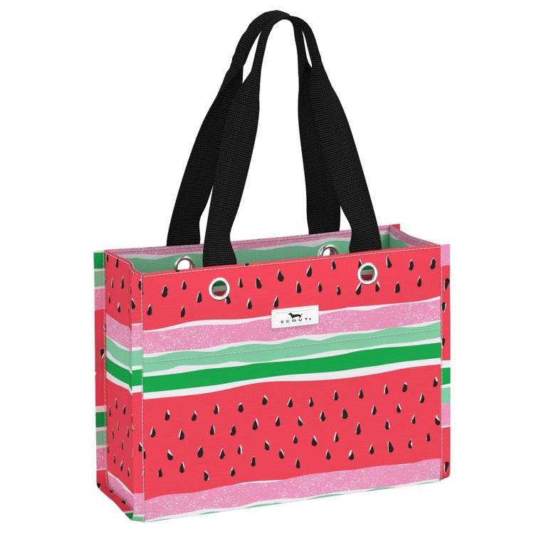 Scout Tiny Package -Melondramatic