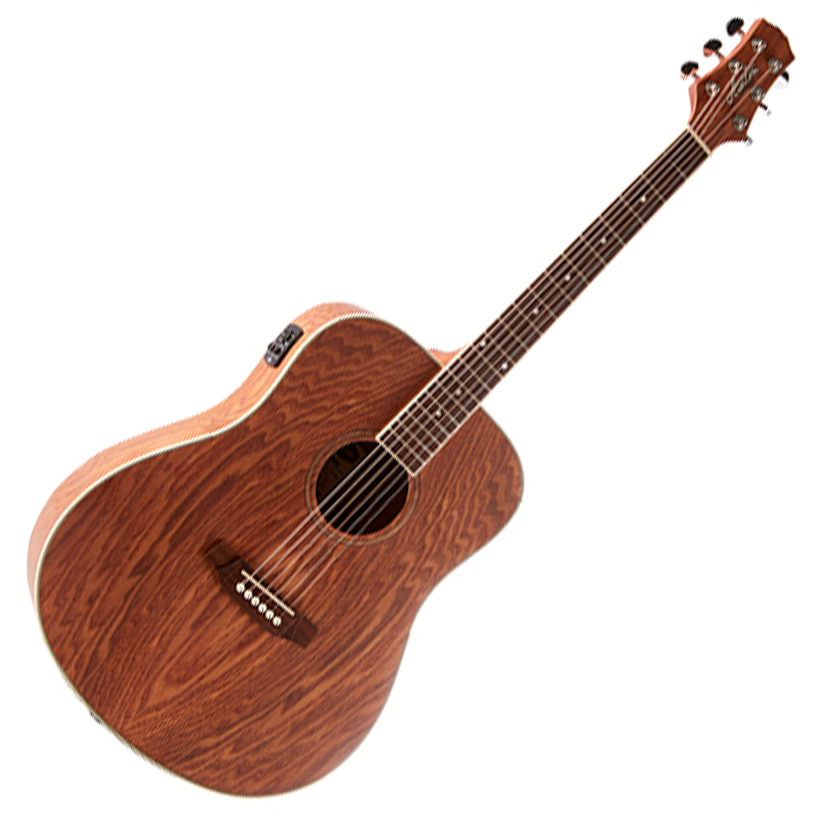 ashton acoustic guitar with built in tuner