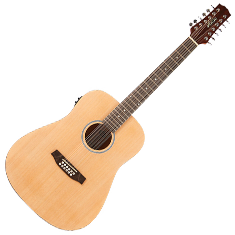 ashton premium acoustic guitar