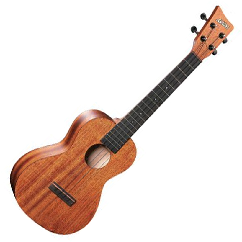 concert ukulele with amp