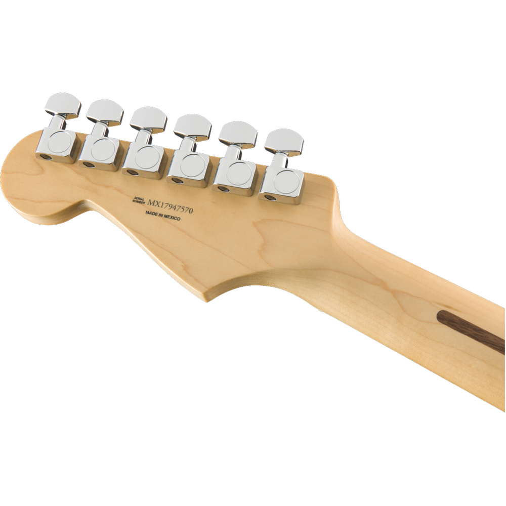 fender fretboard