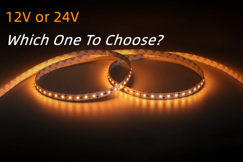 12V or 24V LED Strip, Which One to Choose? - Myledy