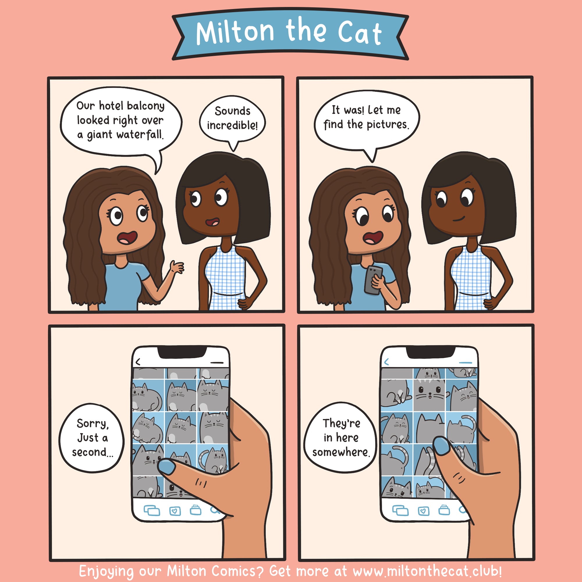 milton the cat