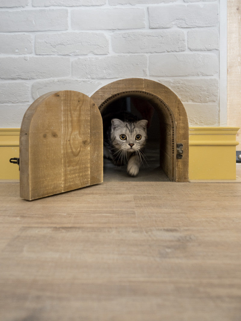 Creative Ideas for Decorative Cat Doors 