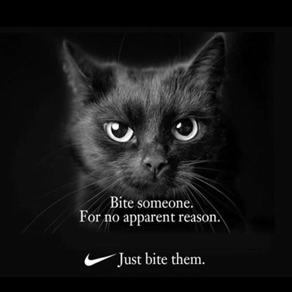 Nike just do it memes(Nike ad memes) 
