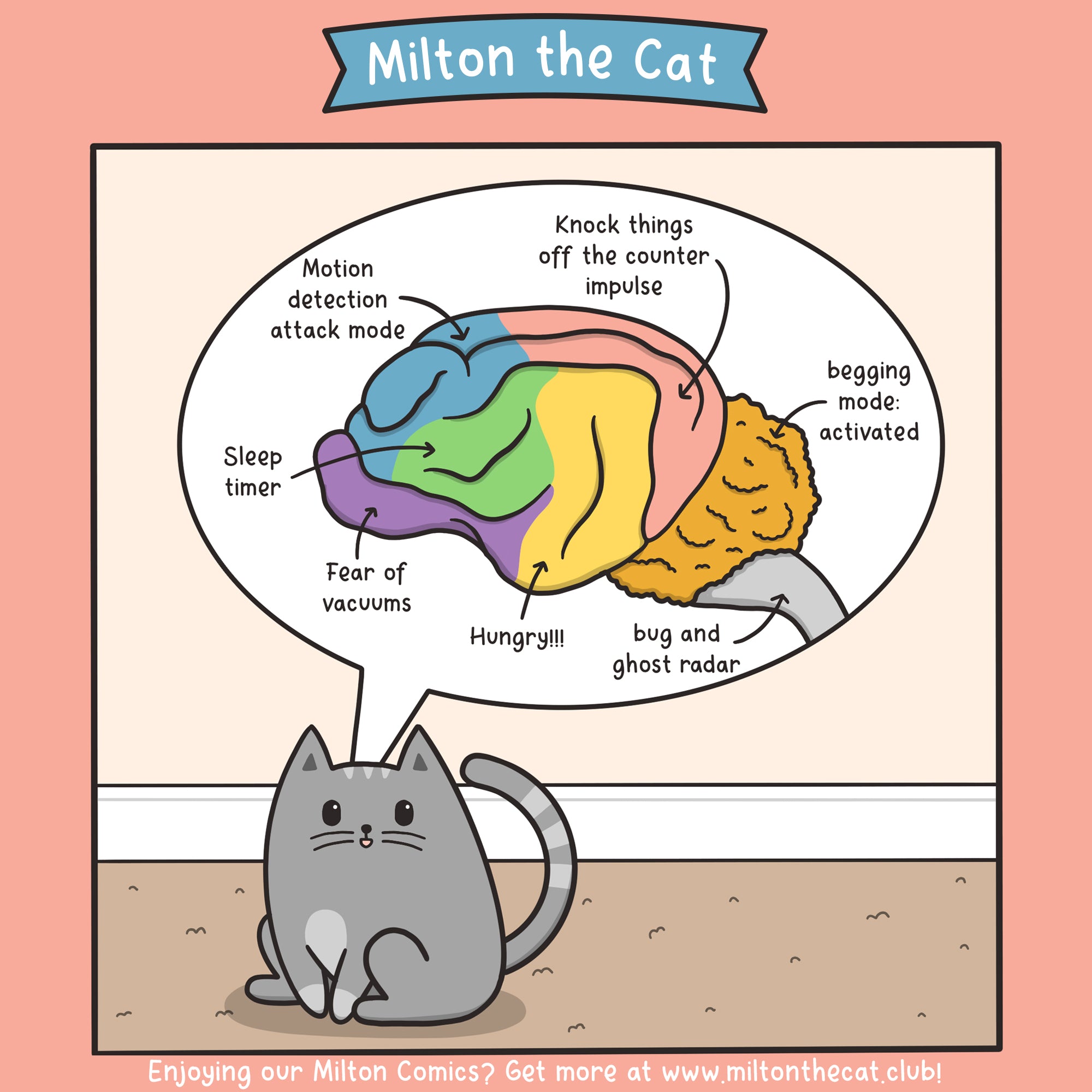 Cat Brain Meowingtons